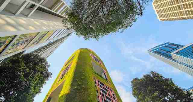 Green building