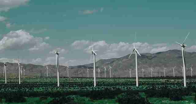 Wind farm for sustainable and renewable energy